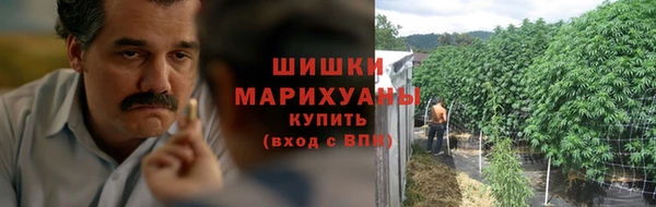 МДПВ Вязьма