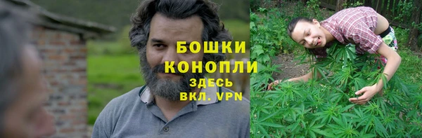 спайс Вяземский