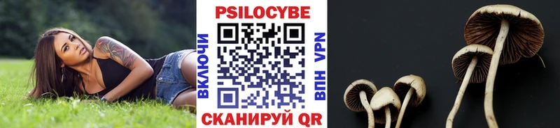 Псилоцибиновые грибы MAGIC MUSHROOMS  hydra вход  Яровое 